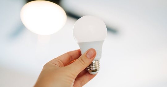 hand holding lightbulb